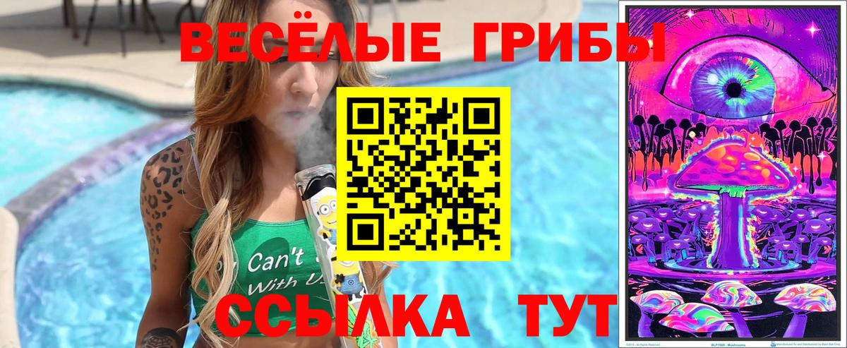 Псилоцибиновые грибы GOLDEN TEACHER Воркута